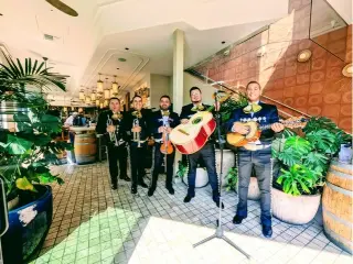 Mariachi responsable y profesi