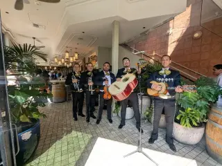 Mariachi responsable y profesi