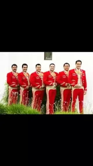 Mariachi profesional.