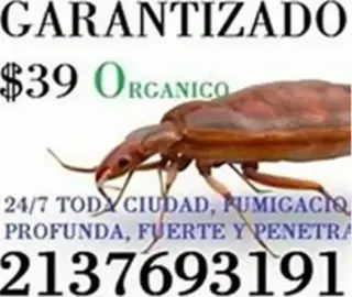 FUMIGACION 100% GARANTIZADA