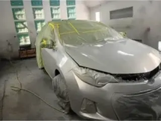 Pintado automotris