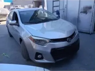 Pintado automotris