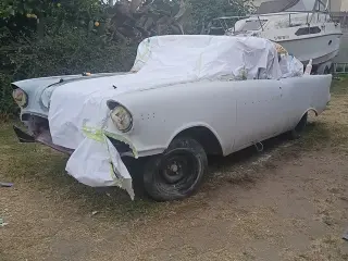 Pintado automotris