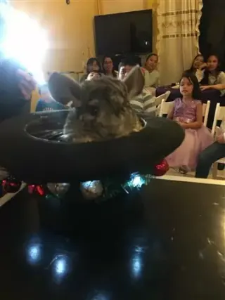 Ten El Mejor Show en Tu Fiesta