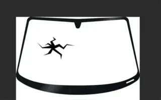 Windshield