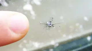 Windshield