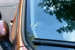 Windshield