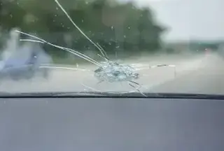Windshield