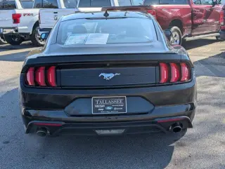 Ford Mustang 2023 EcoBoost 2dr Fastback