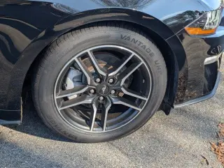 Ford Mustang 2023 EcoBoost 2dr Fastback