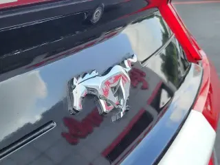 Ford Mustang 2022 EcoBoost 2dr Fastback