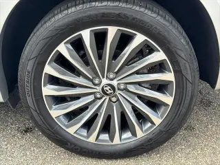 Hyundai PALISADE 2024 AWD Calligraphy 4dr SUV