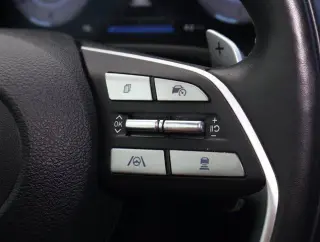Hyundai PALISADE 2024 Calligraphy 4dr SUV