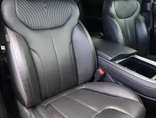 Hyundai PALISADE 2024 Calligraphy 4dr SUV