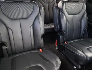 Hyundai PALISADE 2024 Calligraphy 4dr SUV