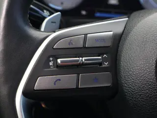 Hyundai PALISADE 2024 Calligraphy 4dr SUV