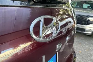 Hyundai PALISADE 2024 AWD Calligraphy 4dr SUV