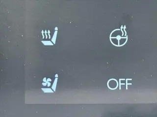 Hyundai SANTA FE 2024 Calligraphy 4dr SUV