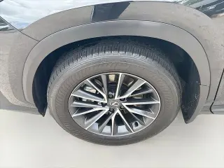 Lexus NX 250 2025 4dr Crossover