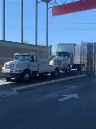 El yolo