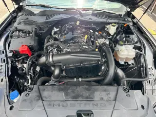 Ford Mustang 2024 EcoBoost 2dr Fastback
