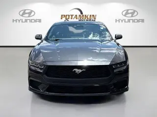 Ford Mustang 2024 EcoBoost 2dr Fastback
