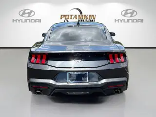Ford Mustang 2024 EcoBoost 2dr Fastback