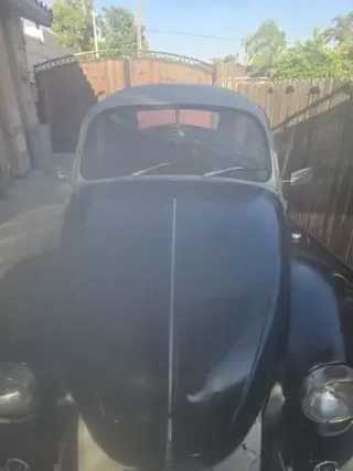 Clean