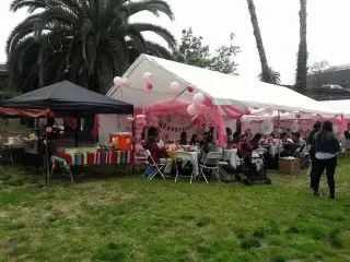 SILLAS,MESAS, CARPAS Y MAS
