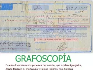PERITO EN GRAFOSCOPIA, DOCUMEN
