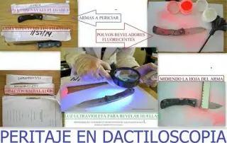 PERITO EN GRAFOSCOPIA, DOCUMEN