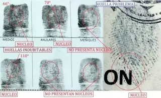 DICTAMEN PERICIAL GRAFOSCOPÍA
