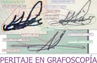 A PERITO EN GRAFOSCOPIA.