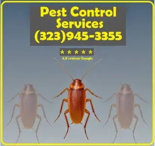 PEST CONTROL SERVICES⭐⭐⭐⭐⭐L.A.