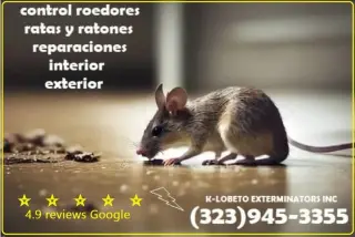 PEST CONTROL SERVICES⭐⭐⭐⭐⭐L.A.