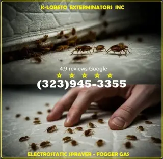 PEST CONTROL SERVICES⭐⭐⭐⭐⭐L.A.