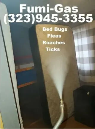 PEST CONTROL SERVICES⭐⭐⭐⭐⭐L.A.