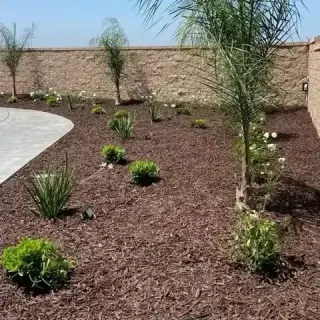 Jardinería Profesional en L.A.