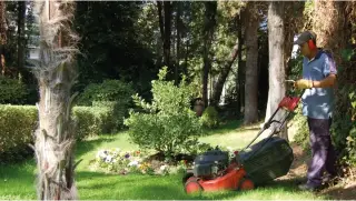 JARDINERÍA Y DEMOLICIÓN