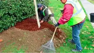 JARDINERÍA Y DEMOLICIÓN