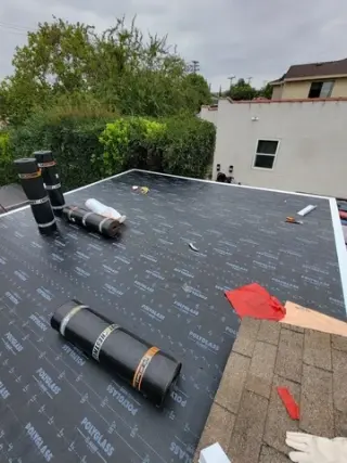 Painter - remodeling