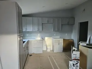 Painter - remodeling