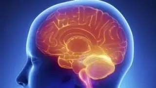 INSOMNIA -ANSIEDAD ESTRESS