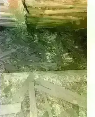 PEST CONTROL