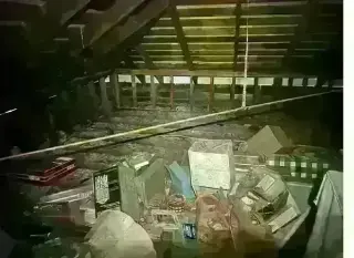 PEST CONTROL