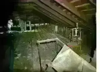 PEST CONTROL