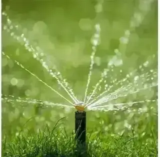 CANALEZ GARDENING SERVICES