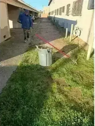 CANALEZ GARDENING SERVICES