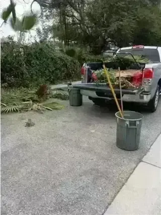 CANALEZ GARDENING SERVICES