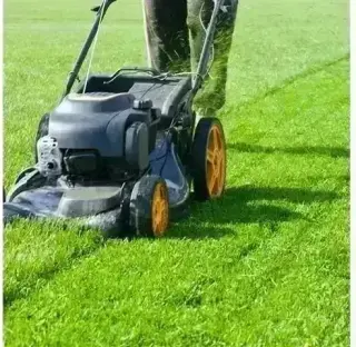 CANALEZ GARDENING SERVICES